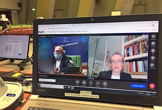 Webinar / Ukraine / virtual / parliaments