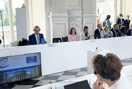 132è Session du Comité des ministres
