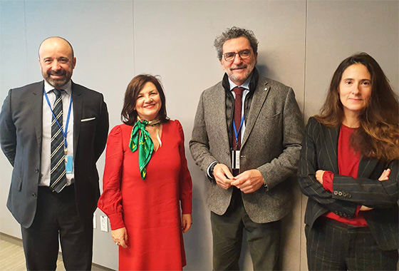 PACE Sub-Committee on External Relations meeting in UN, New York