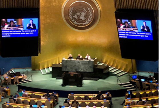 UN General Assembly