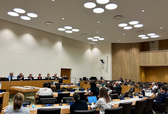 Événement parallèle au HLPF