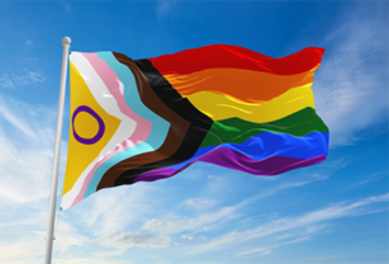 Parliamentary Platform for the rights of LGBTI persons in Europe