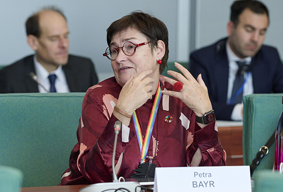 PACE election observers launch a Parliamentary Alliance for Free and Fair Elections