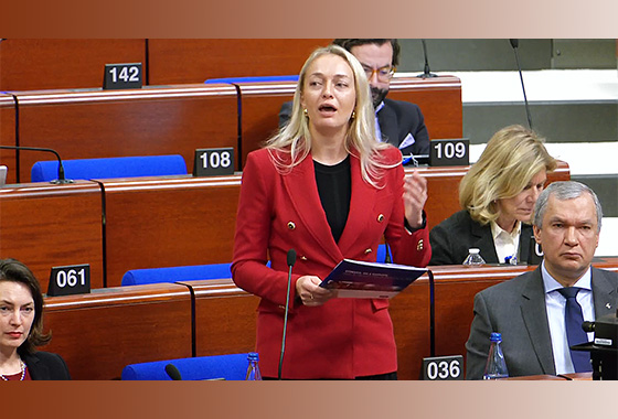'There are no grounds for recognising the legitimacy of Aliaksandr Lukashenka as President of Belarus,' PACE says