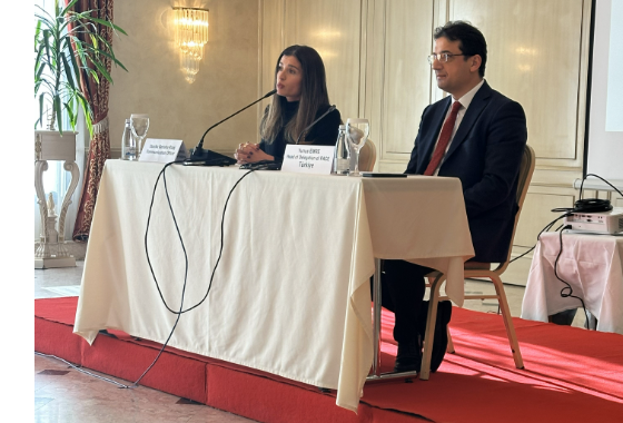 PACE observers welcome smooth early elections in Kosovo* and urge all stakeholders to help restore functional institutions