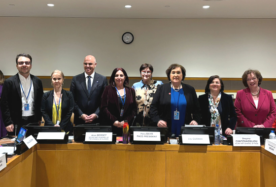 PACE President Petra Bayr at the UN in New York: ‘The backlash against women's rights is real, but it is not inevitable’