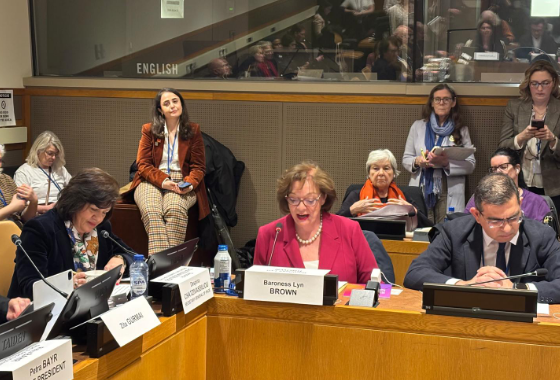 PACE President Petra Bayr at the UN in New York: ‘The backlash against women's rights is real, but it is not inevitable’