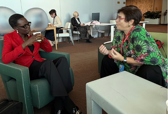 PACE President ends New York visit with an appeal for the election of a woman to the UN’s top job