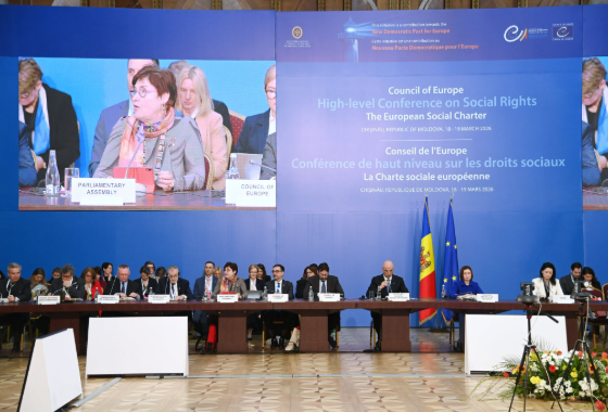 Petra Bayr: ‘Protecting social rights is not a secondary political agenda, but the very foundation of democratic stability’