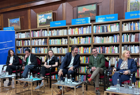 Petra Bayr: ‘Protecting social rights is not a secondary political agenda, but the very foundation of democratic stability’
