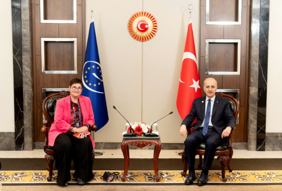Petra Bayr discusses the situation of women in conflict zones at a Forum of Women Parliamentarians