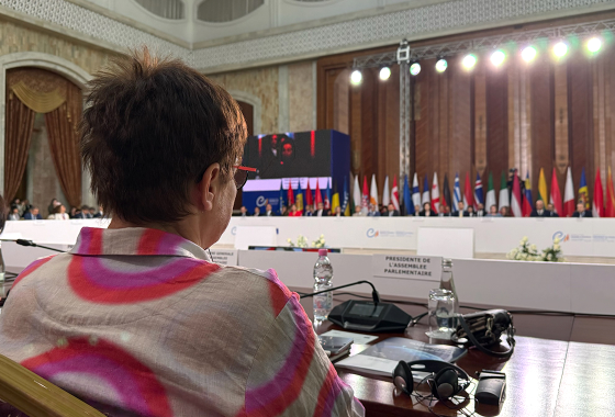 In Chișinău, PACE President urges states to do more to promote Convention rights to their citizens