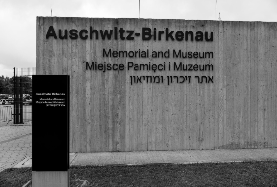 PACE President Petra Bayr, marking Roma Holocaust Memorial Day: ‘Memory must change how we act tomorrow’
