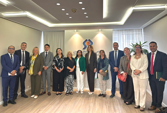 PACE pre-election delegation calls for inclusive, transparent and trusted parliamentary elections in Morocco