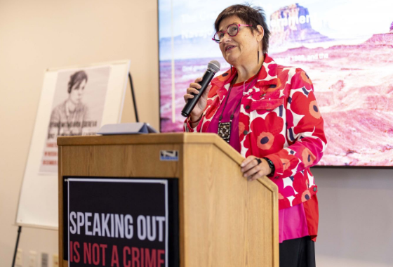 Petra Bayr in Washington calls for a global approach to restoring democracy and human rights in Russia