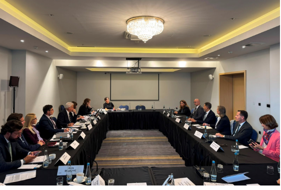 PACE pre-electoral delegation in Bosnia and Herzegovina welcomes electoral reforms but warns of continuing challenges