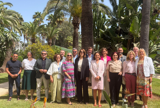 Elections in Morocco: orderly voting but serious challenges remain for representative democracy, say PACE observers