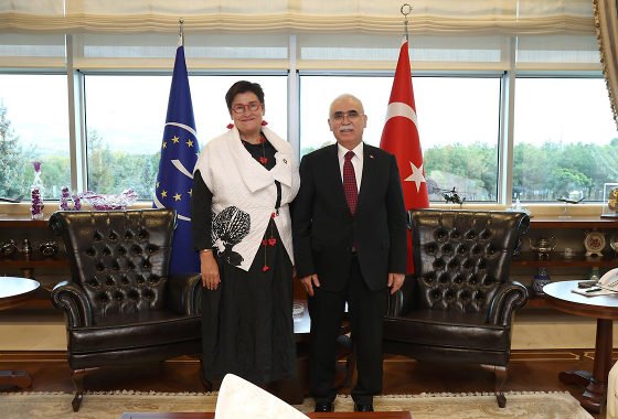 Visite officielle de la Présidente de l'APCE Petra Bayr en Türkiye